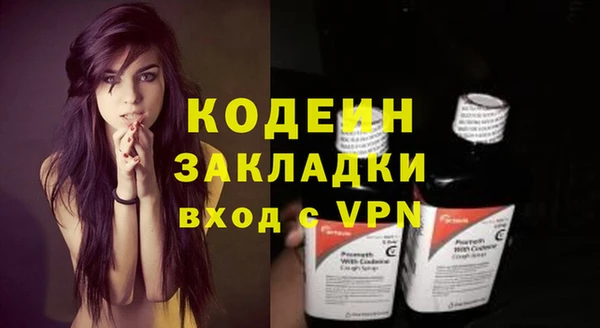 шишки Беломорск