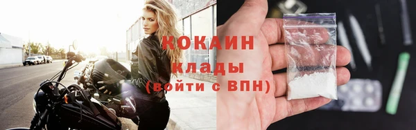 шишки Беломорск