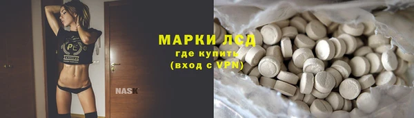 шишки Беломорск