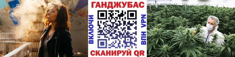 цены наркотик  Венёв  Конопля планчик 